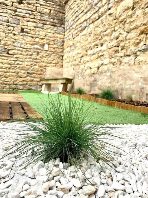L'Eden, Apt 4 Prs Avec Jardin En Centre Ville Dijon Buitenkant foto